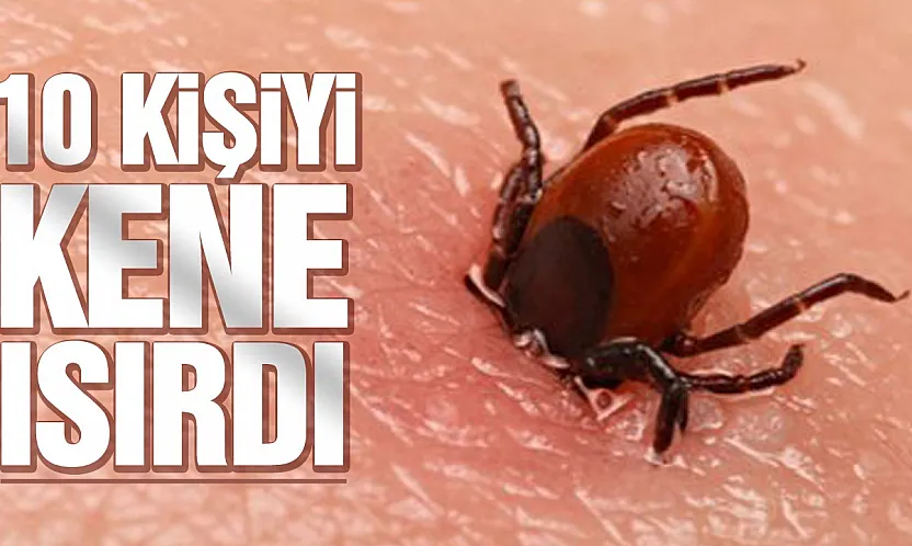 10 Kişi Kırım Kongo Kanamalı Ateşine yakalandı