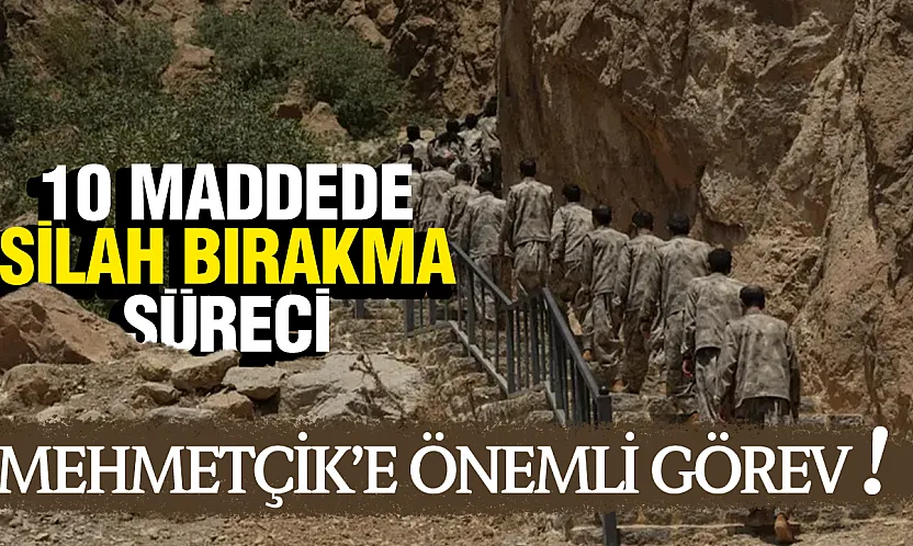 10 Maddede Silahsızlanma Süreci: Tüm Silah ve Ekipmanlar Teslim Edilecek