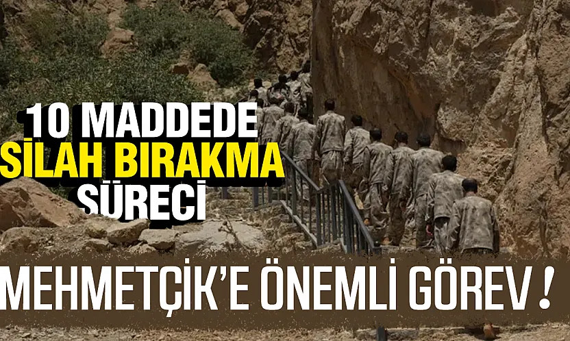 10 Maddede Silahsızlanma Süreci: Tüm Silah ve Ekipmanlar Teslim Edilecek