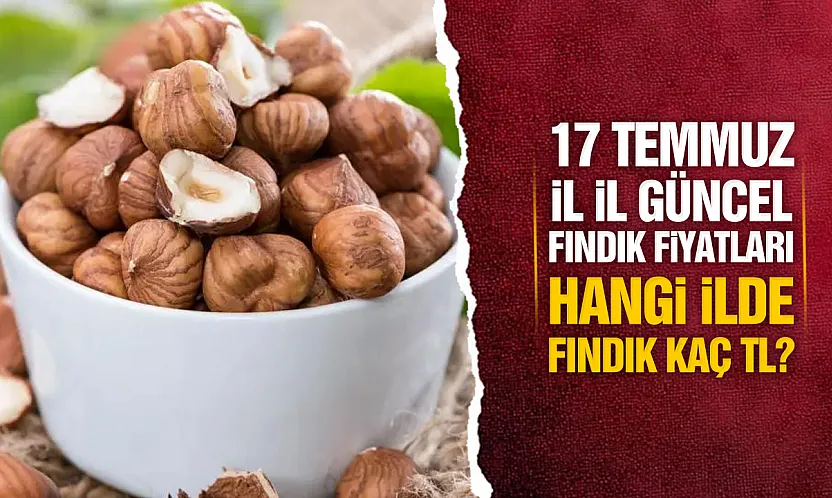 17 Temmuz İl İl Güncel Fındık Fiyatları: Serbest Piyasada Son Durum Ne?