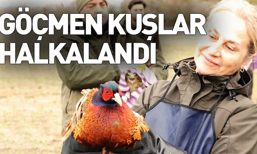 81 binden fazla göçmen kuş halkalandı
