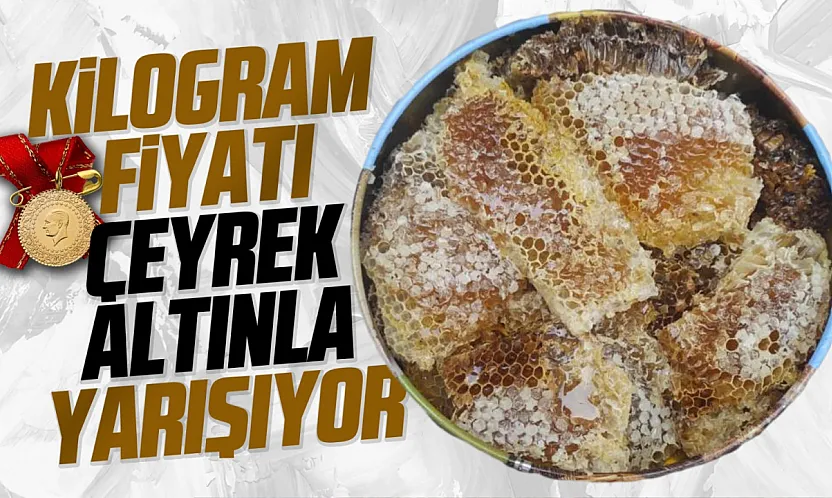 Ağaç kovuğundan çıkıyor, kilosu 15 bin liraya satılıyor