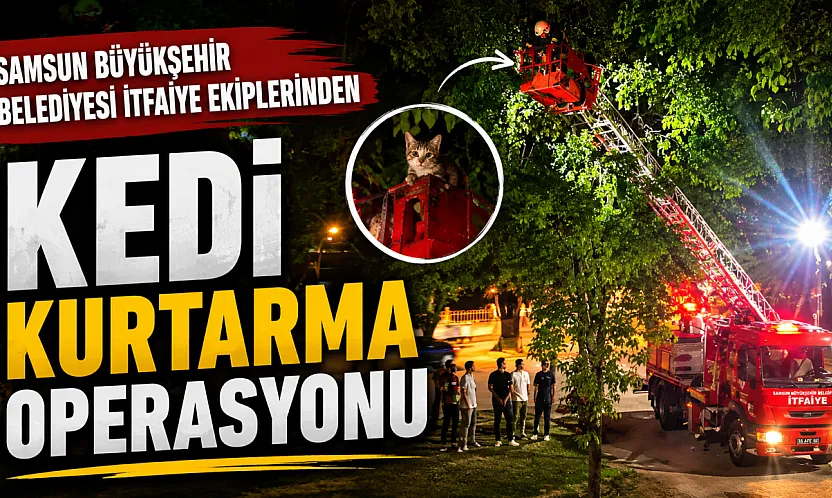 Ağaçta Mahsur Kalan Kediyi İtfaiye kurtardı