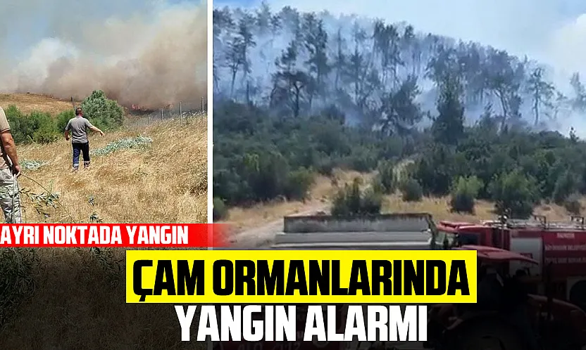 Alevler Evlerin Sınırına Dayandı!