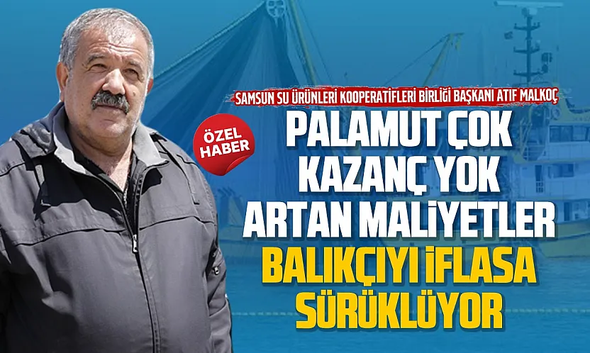 Atıf Malkoç, 'Mazot zamları Karadeniz'de palamut sevincini bitirdi'