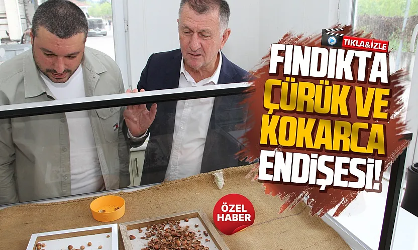 Aydemir: Üreticilerimiz fındığını mutlaka seçsin