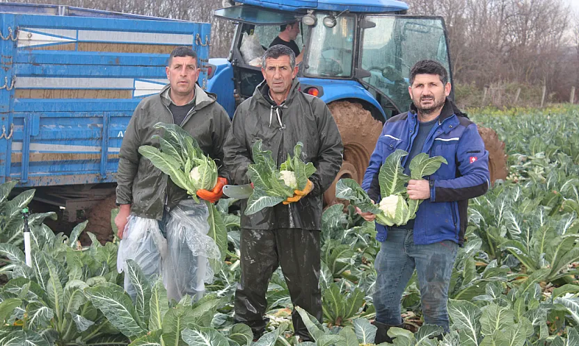 Bafra'dan Ankara'ya seslendiler! 'Bu süreci devlet büyüklerimiz takip etsin'