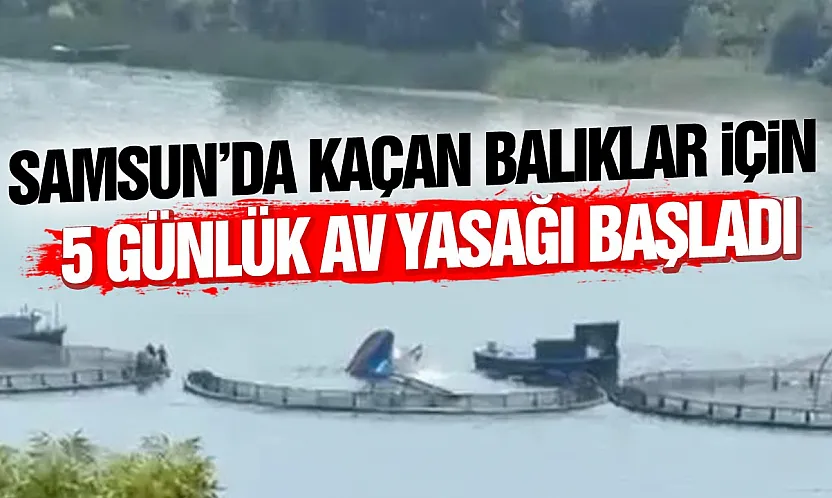 Bafralı balıkçılardan av yasağı tepkisi