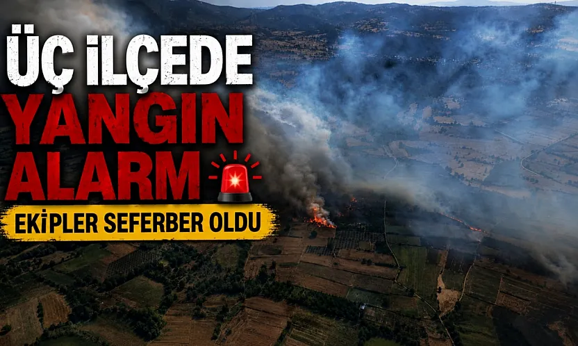 Balıkesir'de üç ayrı noktada yangın