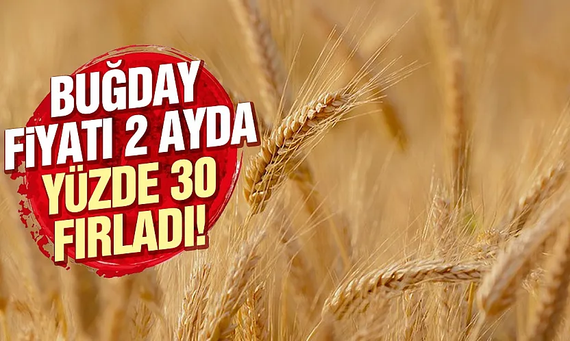 Buğday fiyatlarında savaş etkisi 2 ayda yüzde 30 yükseldi