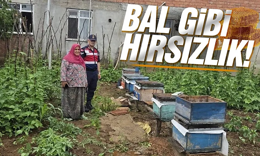 Çarşamba'da arı kovanlarını çalan şahıs JASAT'tan kaçamadı