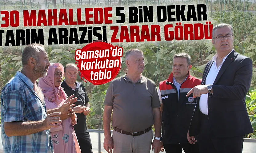 Çarşamba'da sağanak sonrası hasar tespit çalışmaları sürüyor