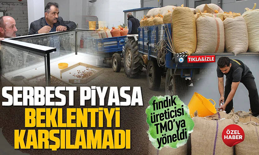 Çarşamba'da TMO alım noktalarında yoğunluk yaşanıyor