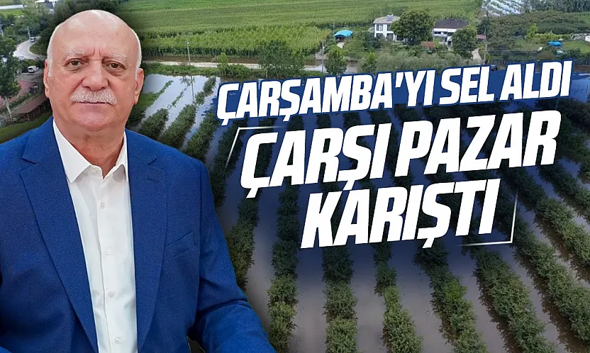 Çarşamba'daki yağış marul ve maydanoz fiyatlarını artırdı