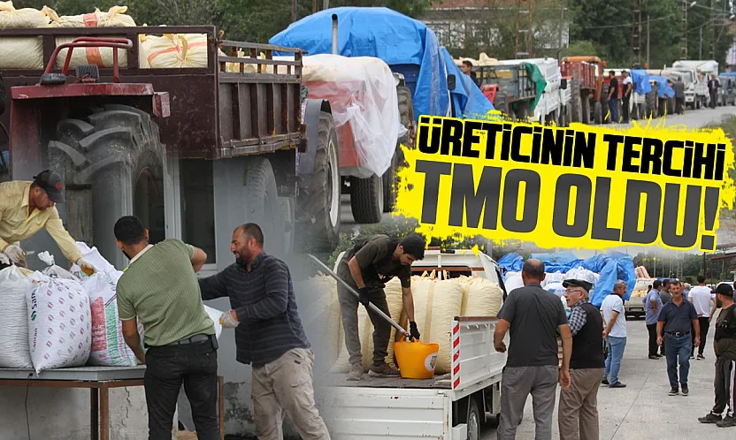 Çarşambalı üreticinin tercihi TMO oldu