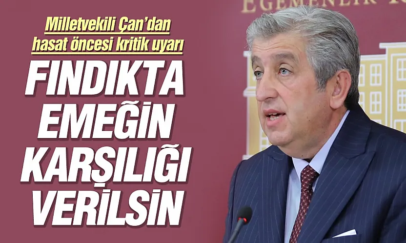 CHP'li Murat Çan: 'Fındıkta maliyet 200 lirayı aştı, üretici emeğinin karşılığını bekliyor'