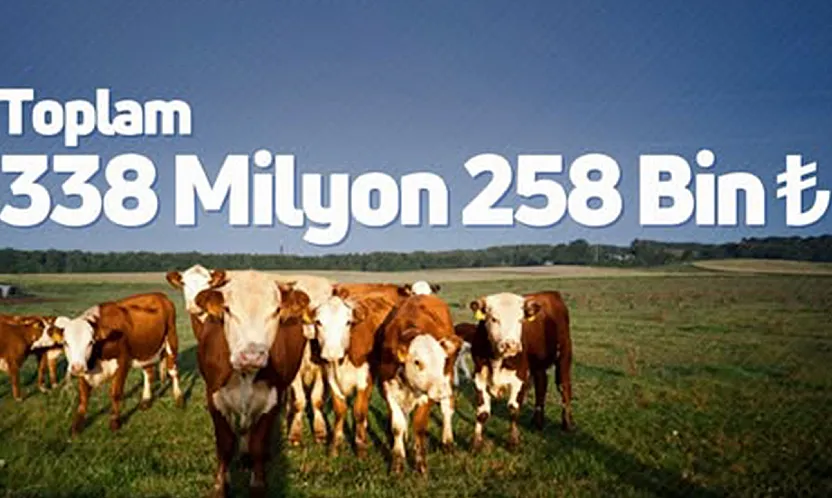 Çiftçiye 338 milyon TL destek ödemesi yapıldı