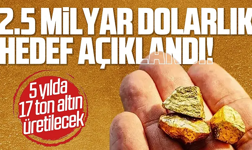 Cumhurbaşkanı Yardımcısı Cevdet Yılmaz: 5 yılda 17 ton altın üretilecek