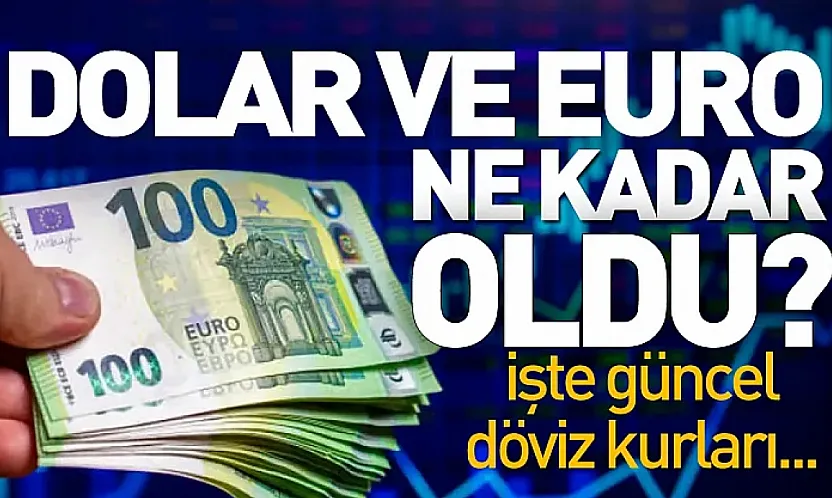Dolar ve Euro Piyasalarında Son Durum
