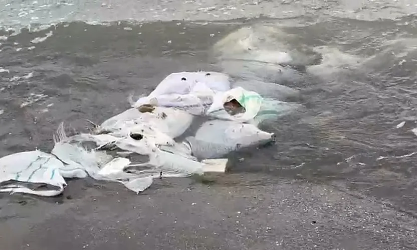 Duyarsızlar! İnşaat atığını denize döktüler