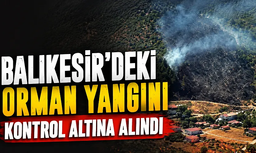 Edremit Körfezi'nde korkutan yangın: Ekipler seferber oldu