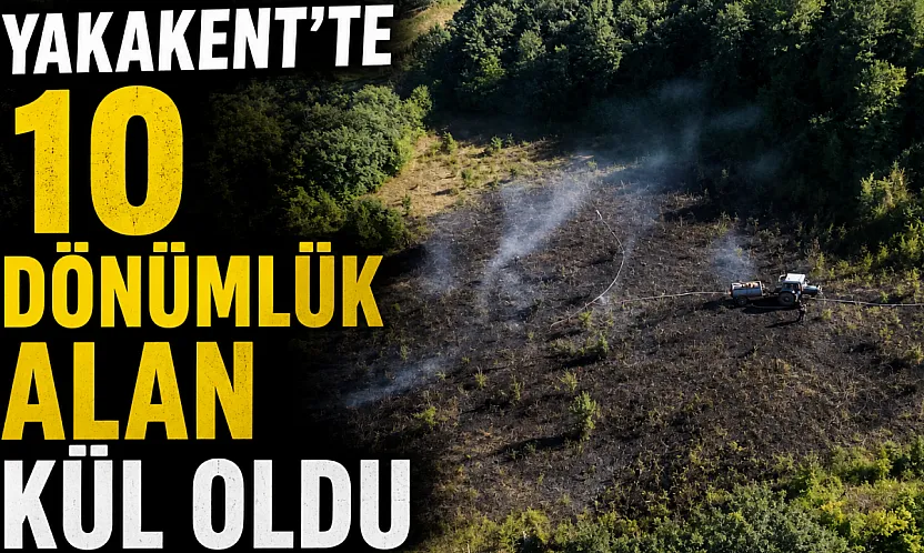 Ekiplerin hızlı müdahalesiyle alevler evlere ulaşmadan kontrol altına alındı