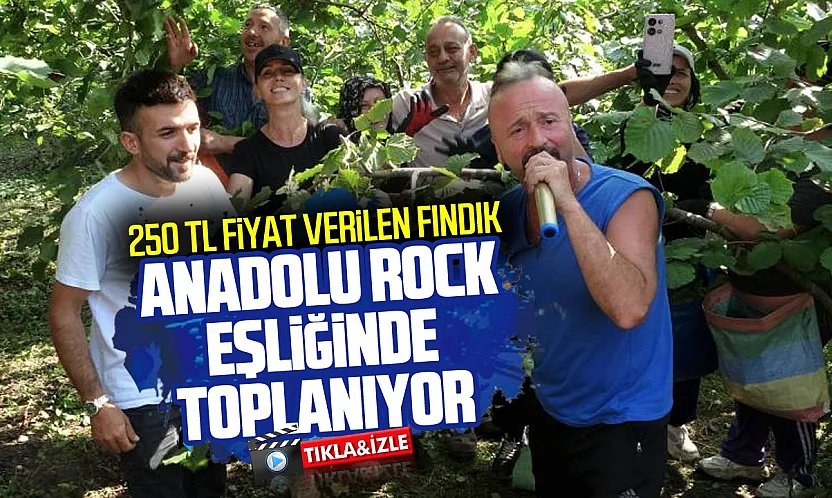 Fındık bahçesinde müzik molası