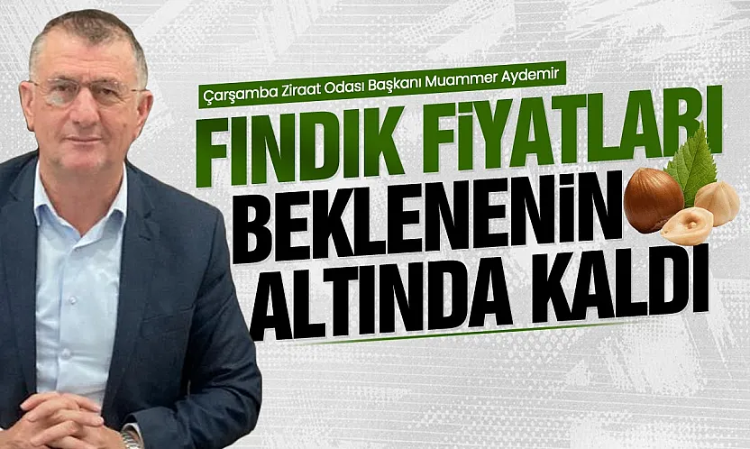 Fındık fiyatına ilk değerlendirme Muammer Aydemir'den