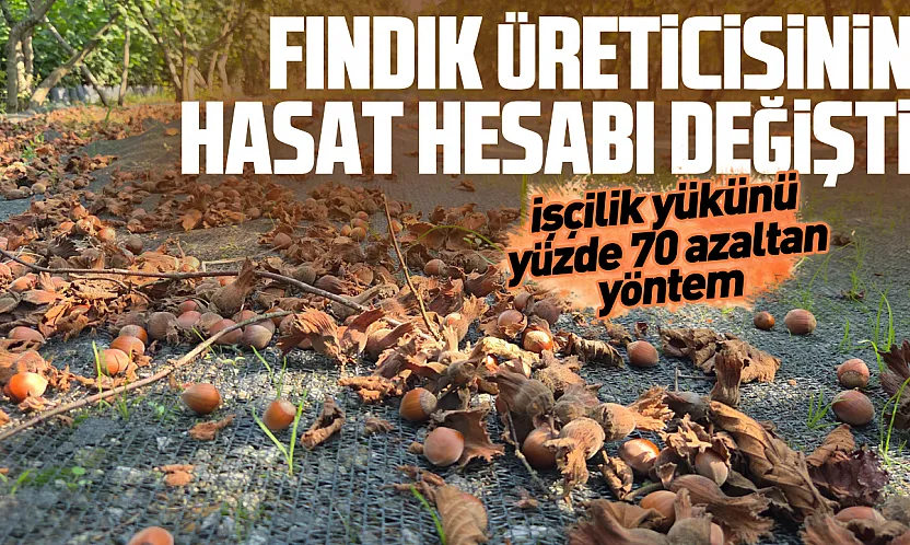 Fındıkta file dönemi: İşçilik maliyetini yüzde 70 düşürüyor
