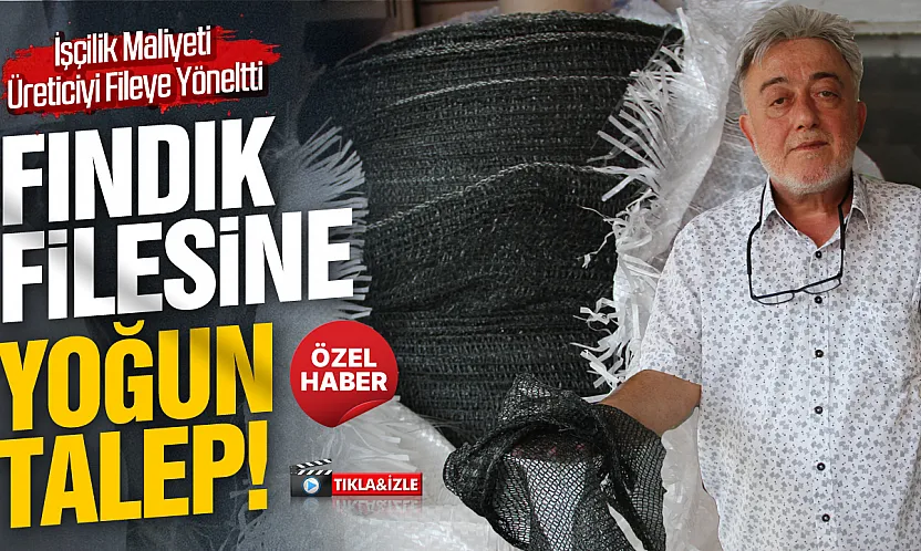 Fındıkta fileye rağbet arttı