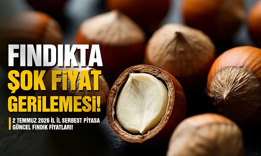 Fındıkta şok fiyat gerilemesi: 2 Temmuz 2026 İl İl Serbest Piyasa Güncel Fındık Fiyatları!