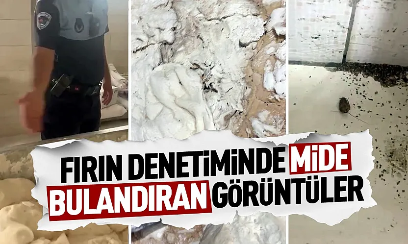 Fırın denetiminde böcek ve izmarit skandalı