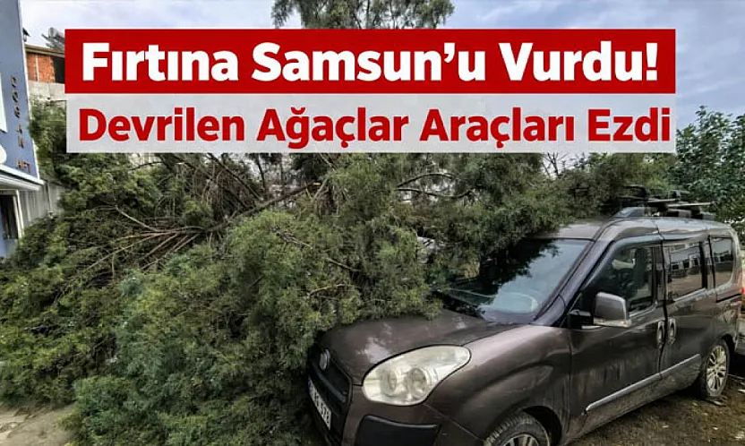 Fırtına Samsun'u Vurdu! Devrilen Ağaçlar Araçları Ezdi