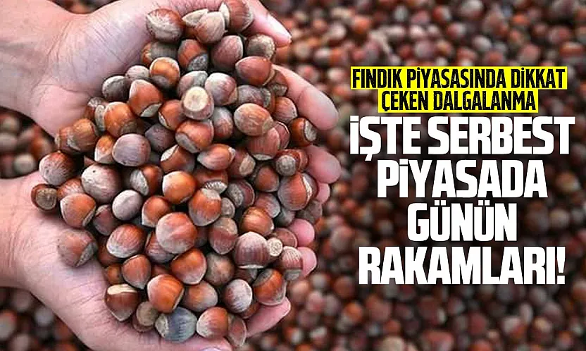 Giresun mu, Samsun mu? 22 Eylül fındık fiyatlarında zirvede kim var?