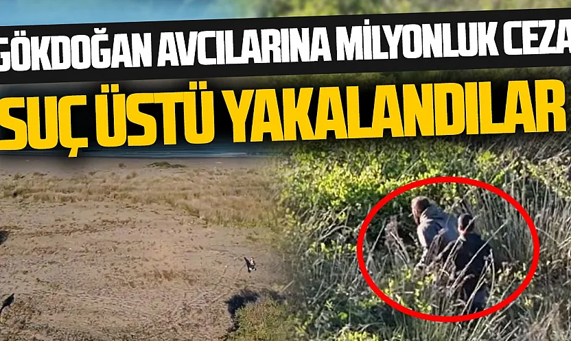 Gökdoğan avcıları suçüstü yakalandı