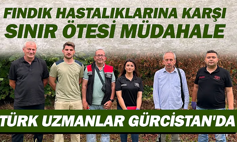 Gürcistan'da Kuruyan Fındık Bahçelerine Türk Uzmanlardan İnceleme