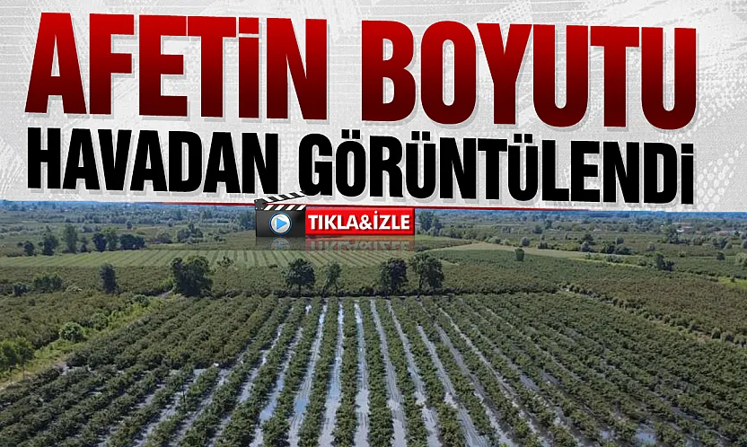 Hasada hazırlanan fındık bahçelerini sağanak vurdu