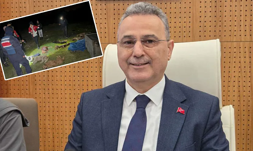 İlkadım Belediye Başkanı Kurnaz'dan Telef Olan Köpeklerle İlgili Açıklama