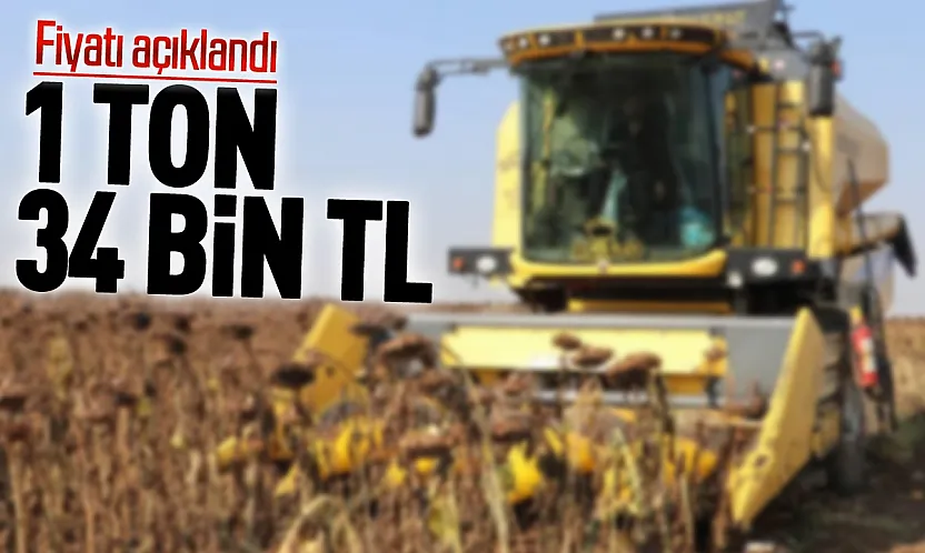 Karadeniz bölgesinde ayçiçeği fiyatı yüzde 17 artışla 34 bin liraya yükseldi