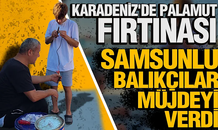 Karadeniz'de ağlar umutla atıldı: Samsunlu balıkçılar bu yıl palamuda doyuracak