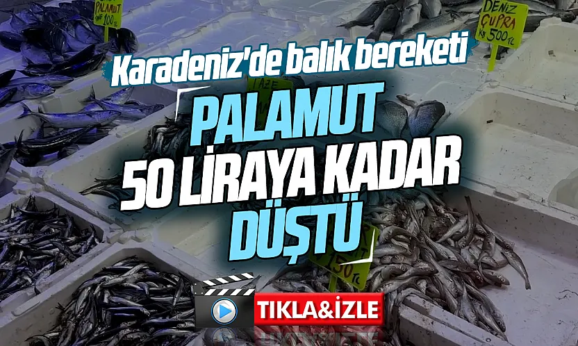 Karadeniz'de balık bereketi tezgahlara yansıdı: Palamut 50 lira
