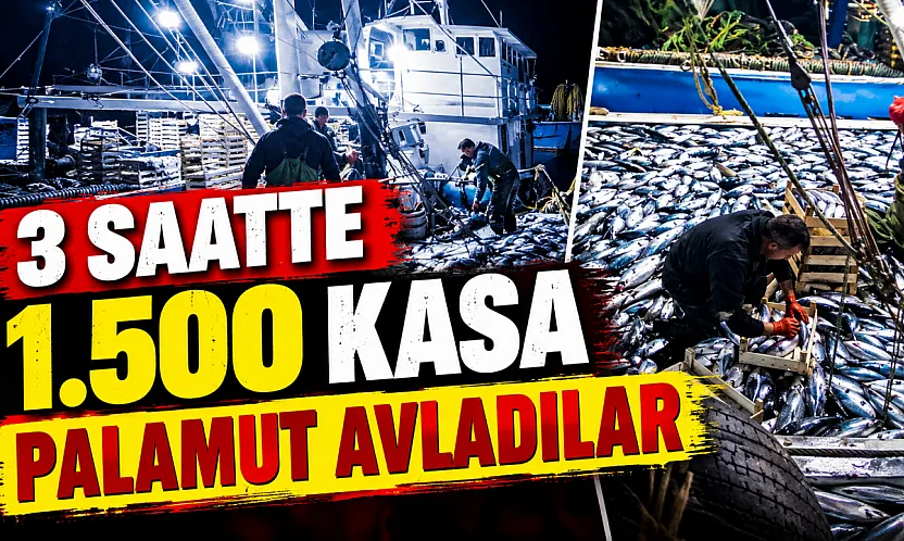Karadeniz'de palamut bereketi
