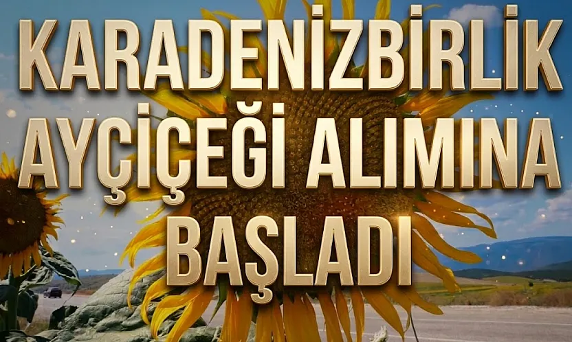 KARADENİZBİRLİK bu sezon 35 bin ton ayçiçeği alımı hedefliyor