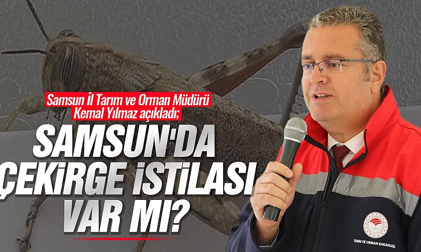Kemal Yılmaz, çekirge istilası iddialarına açıklık getirdi