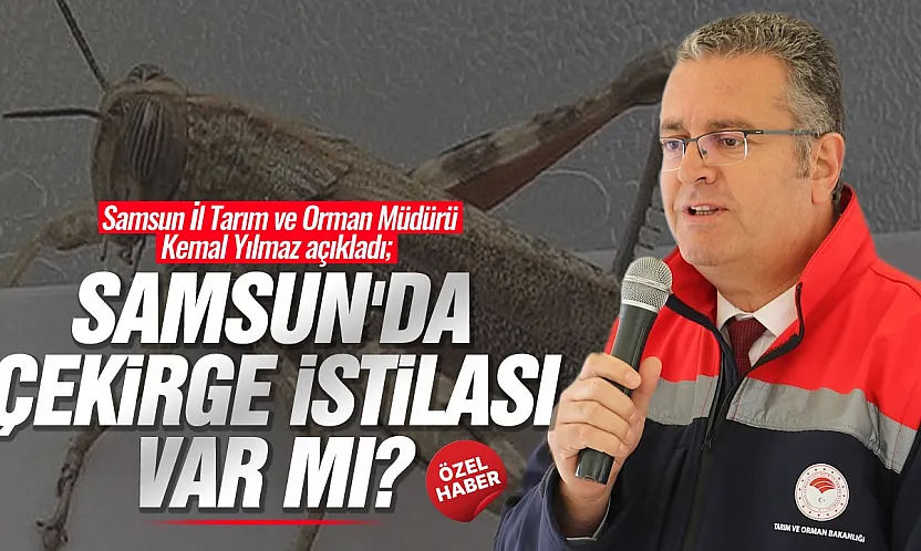 Kemal Yılmaz, çekirge istilası iddialarına açıklık getirdi
