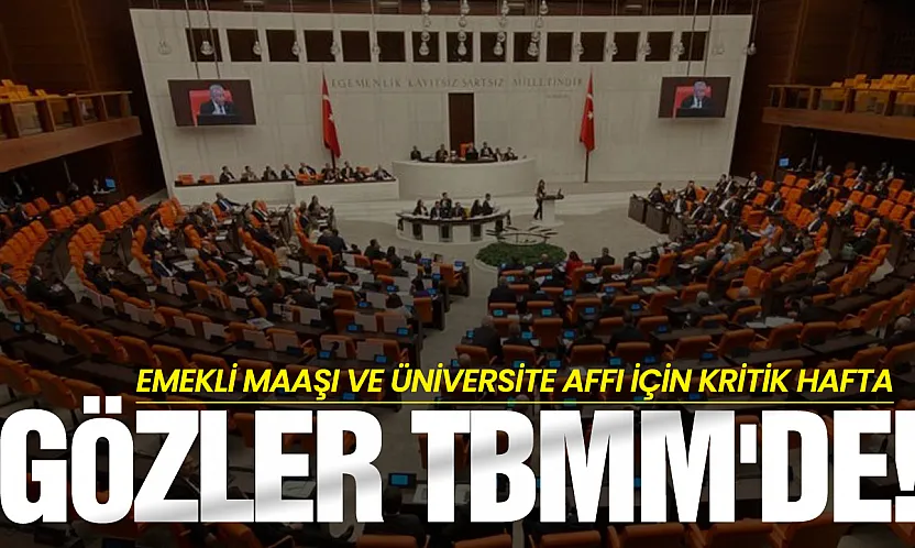 Milyonları ilgilendiren hafta! Emekli maaşı görüşülecek