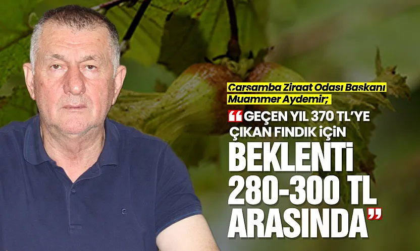 Muammer Aydemir, 'Fındıkta Fiyat Düşüşünün Faturasını Üretici Ödüyor'