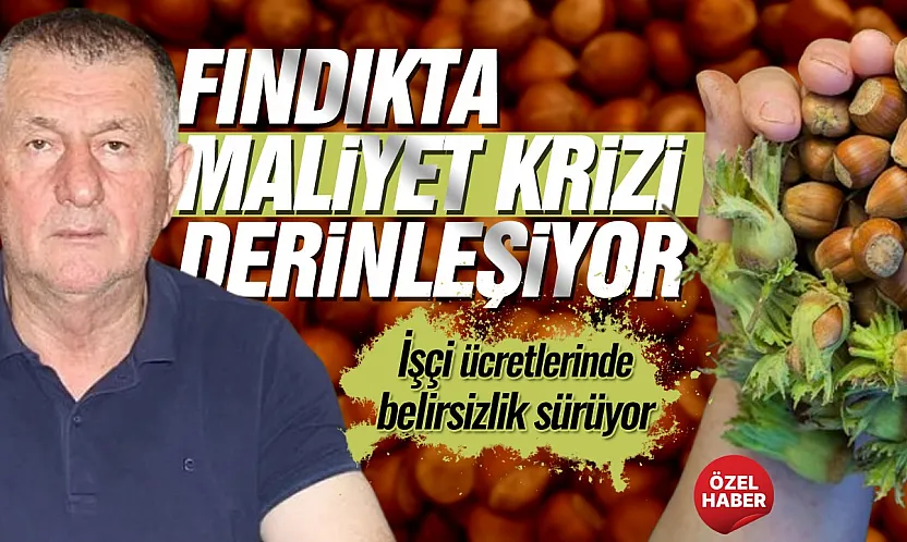 Muammer Aydemir, 'Fındıkta maliyetler katlandı, işçi yevmiyeleri belirsizliğini koruyor'