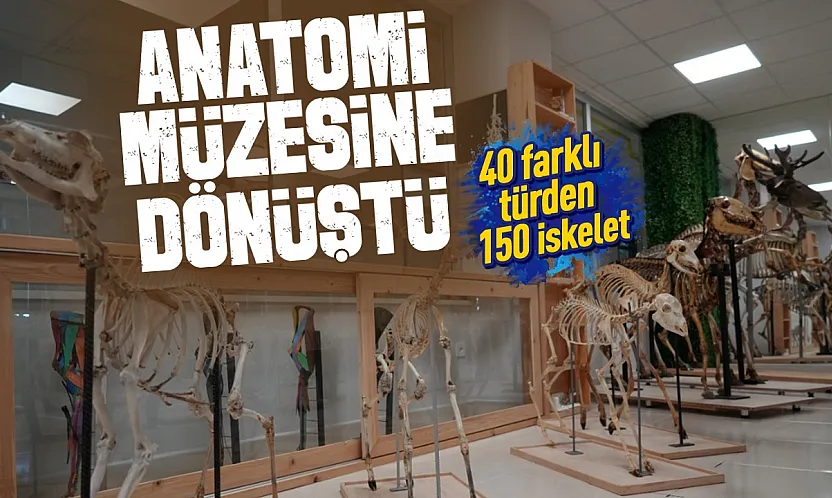 OMÜ Veteriner Fakültesinde Anatomi Müzesi açıldı