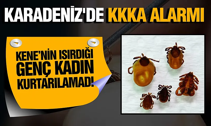 Ordu'da kene kabusu: KKKA virüsüne yakalanan 35 yaşındaki kadın hayatını kaybetti